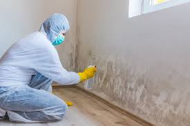 Mold Documentation for Insurance Claims in Rising Sun Lebanon, DE